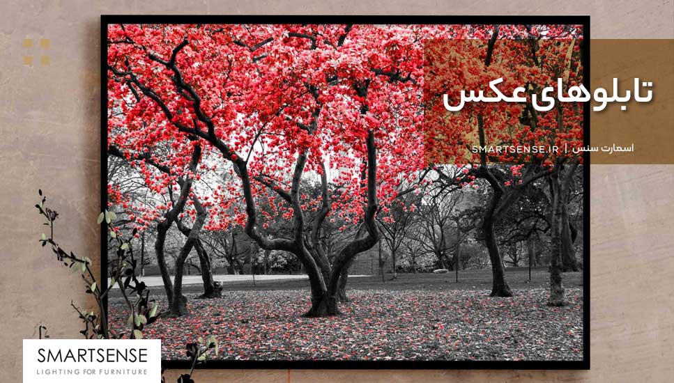 تابلوهای عکس