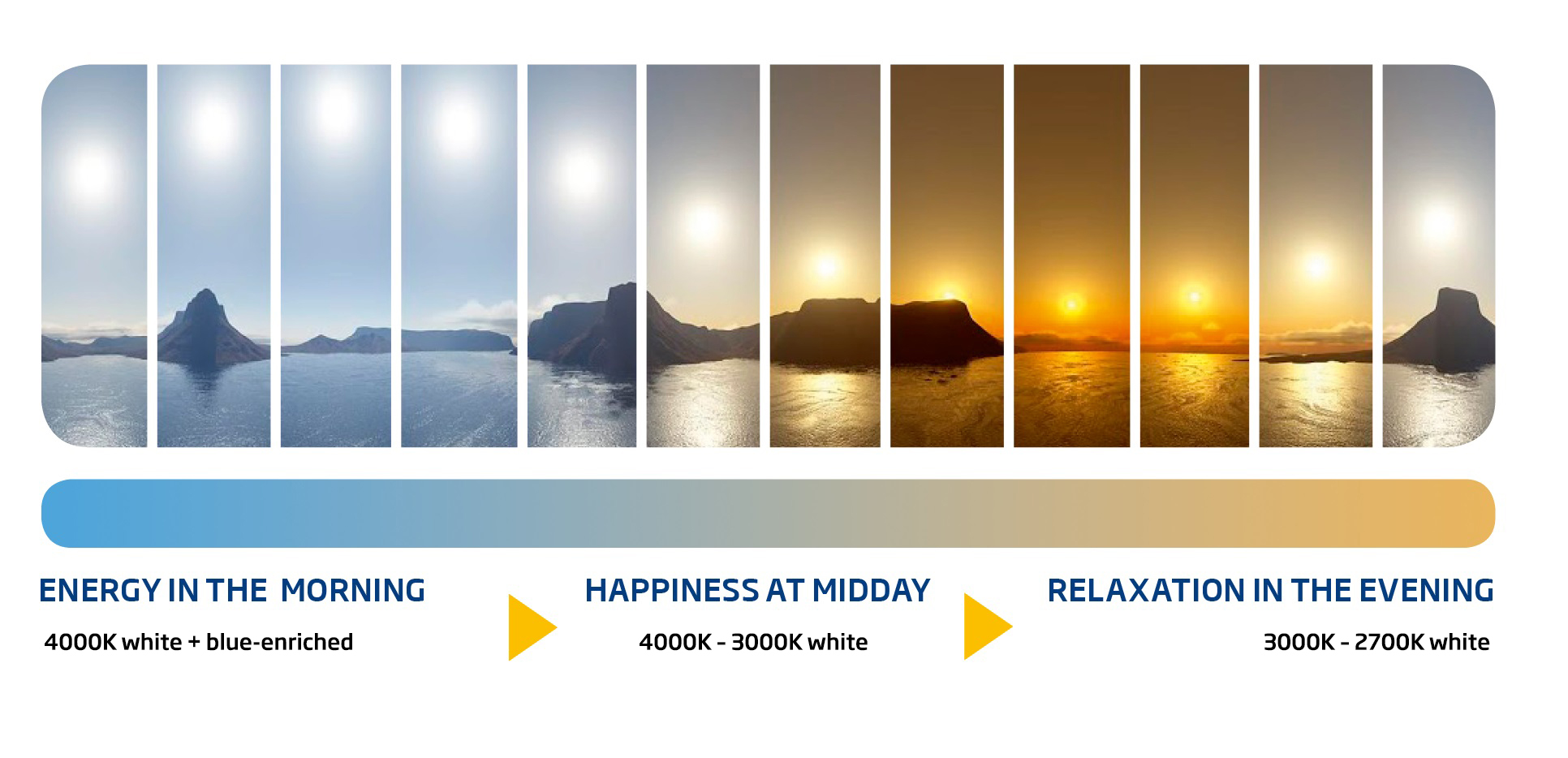 نورپردازی انسان محور